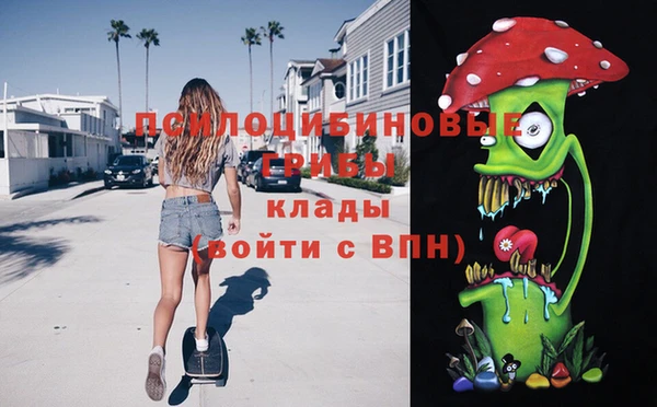 круглые Абаза