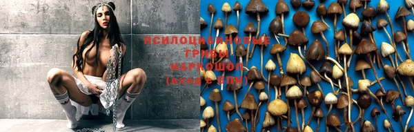 spice Абдулино