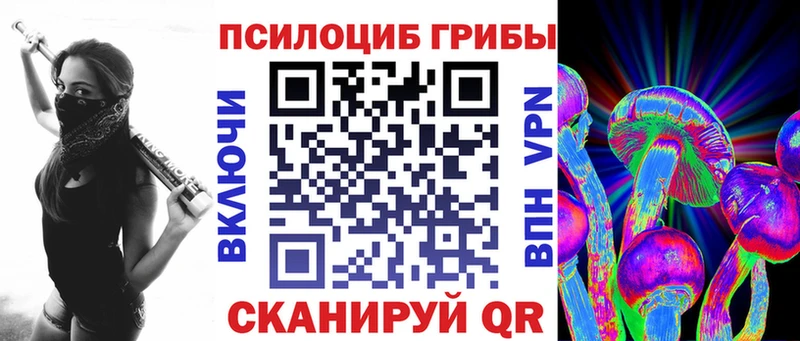 купить  цена  Вичуга  Псилоцибиновые грибы прущие грибы 