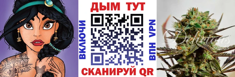 Канабис планчик Вичуга